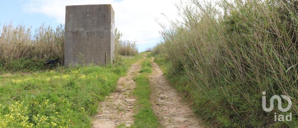Terreno em A dos Cunhados e Maceira de 27 720 m²