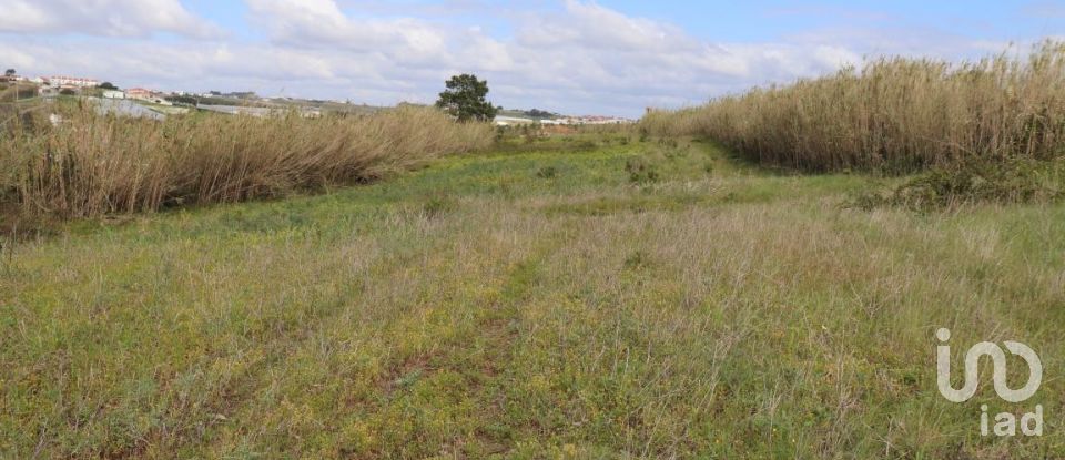 Terreno em A dos Cunhados e Maceira de 27 720 m²