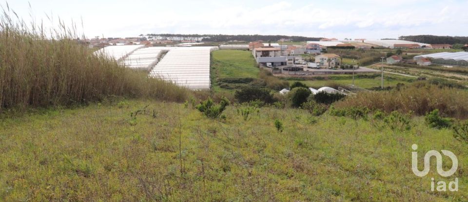 Terreno em A dos Cunhados e Maceira de 27 720 m²