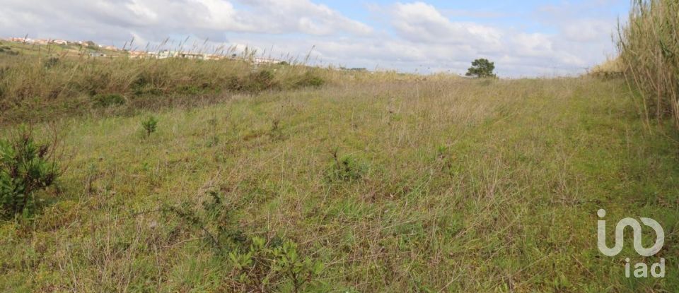 Terreno em A dos Cunhados e Maceira de 27 720 m²