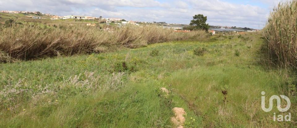 Terreno em A dos Cunhados e Maceira de 27 720 m²