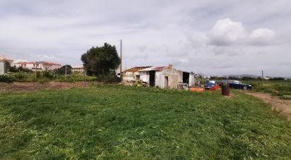 Maison T2 à Montenegro de 60 m²