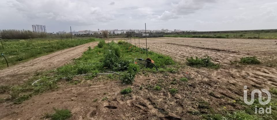 House T2 in Montenegro of 60 m²