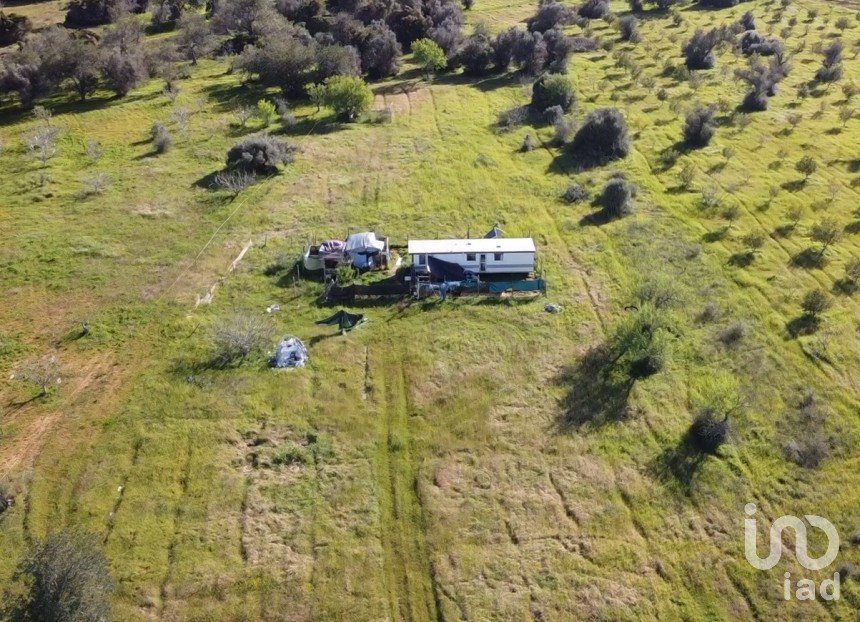 Terrain agricole à Algoz e Tunes de 6 400 m²
