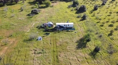 Terrain agricole à Algoz e Tunes de 6 400 m²