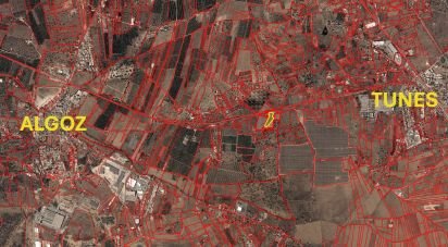 Terrain agricole à Algoz e Tunes de 6 400 m²