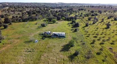 Terrain agricole à Algoz e Tunes de 6 400 m²