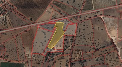 Terrain agricole à Algoz e Tunes de 6 400 m²