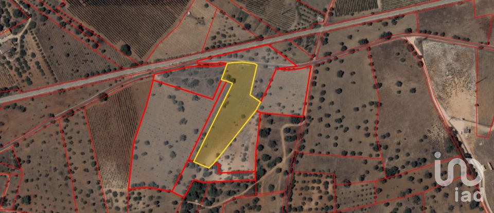Terrain agricole à Algoz e Tunes de 6 400 m²