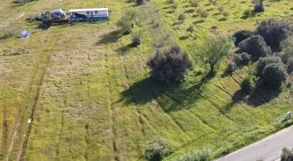 Terrain agricole à Algoz e Tunes de 6 400 m²