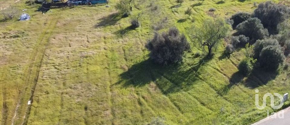 Terrain agricole à Algoz e Tunes de 6 400 m²