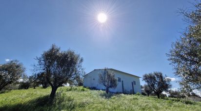 Terrain à Fráguas de 12 240 m²