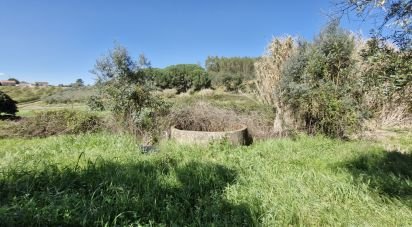 Terrain à Fráguas de 12 240 m²