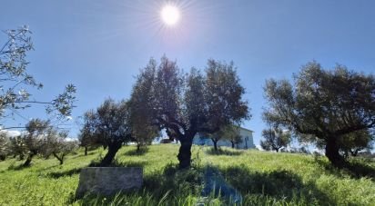 Terrain à Fráguas de 12 240 m²