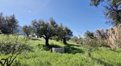 Terrain à Fráguas de 12 240 m²