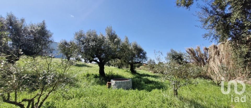 Terrain à Fráguas de 12 240 m²