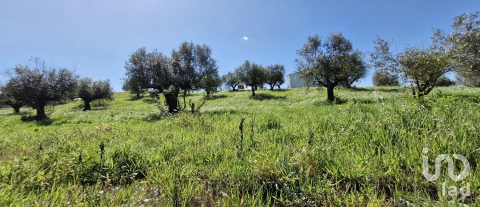 Terrain à Fráguas de 12 240 m²