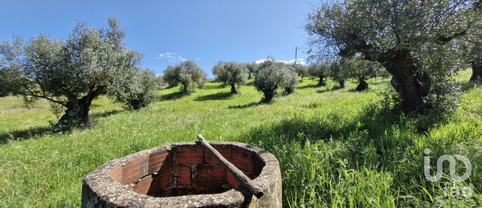 Terrain à Fráguas de 12 240 m²