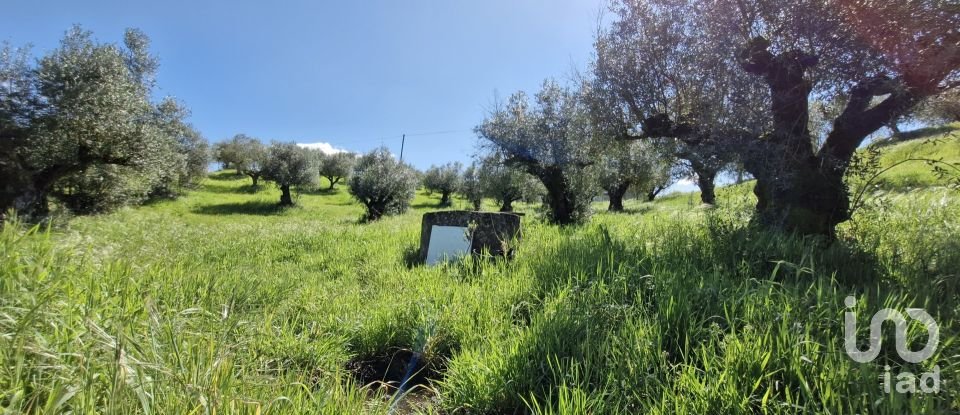 Terrain à Fráguas de 12 240 m²