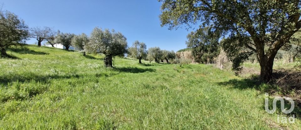 Terrain à Fráguas de 12 240 m²