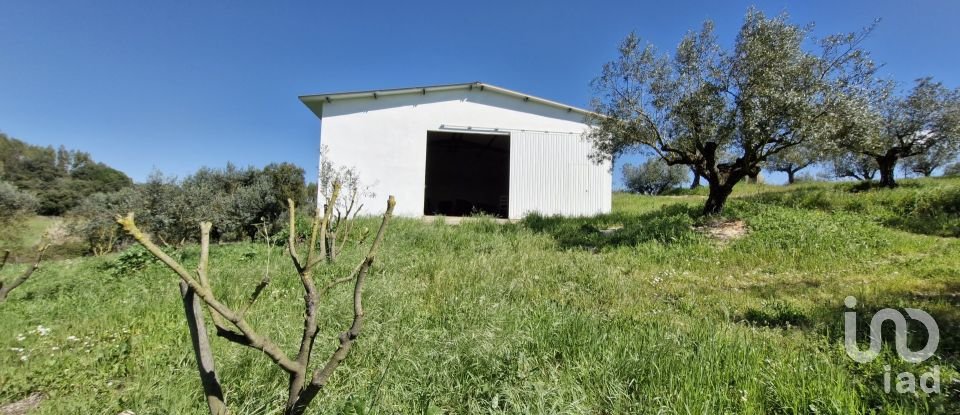 Terrain à Fráguas de 12 240 m²