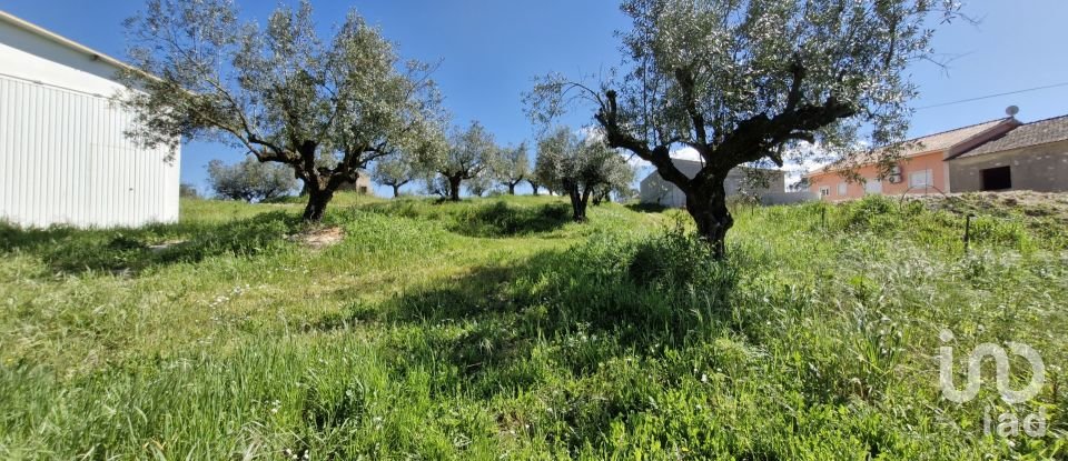 Terrain à Fráguas de 12 240 m²