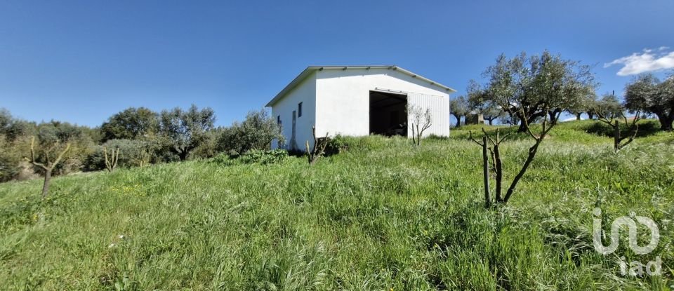 Terrain à Fráguas de 12 240 m²