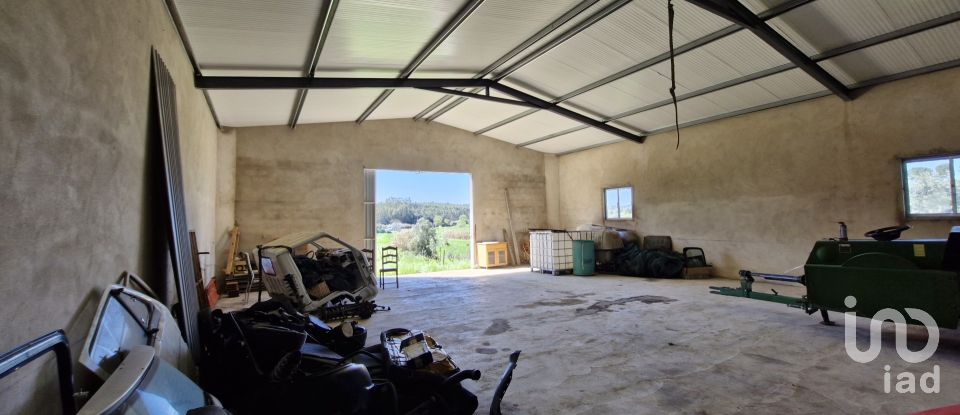 Terrain à Fráguas de 12 240 m²