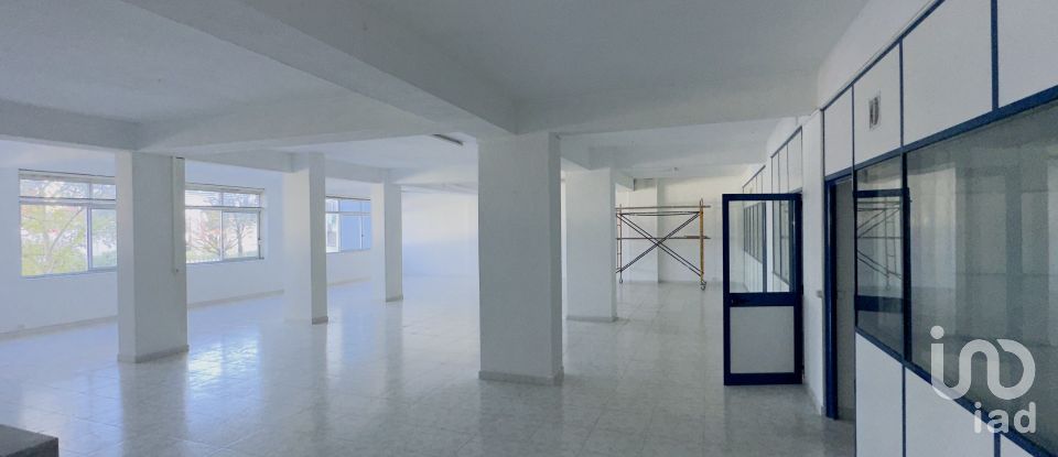 Shop / premises commercial in Amora of 246 m²