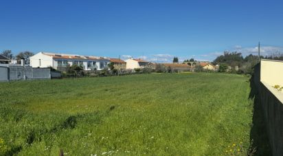 Terrain à Vila do Conde de 4 784 m²