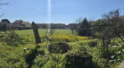 Terrain à Vila do Conde de 4 784 m²