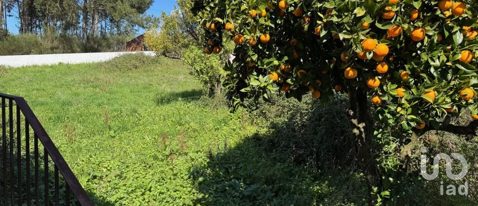 House T4 in Vila Facaia of 479 m²