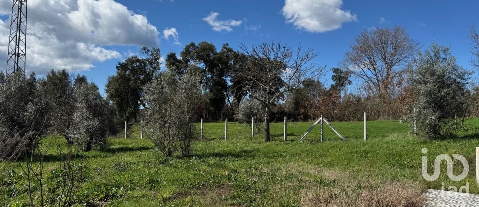 House T4 in Vila Facaia of 479 m²