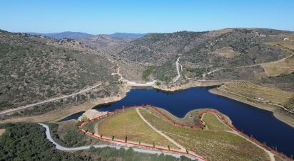 Farm T0 in Horta of 584,006 m²