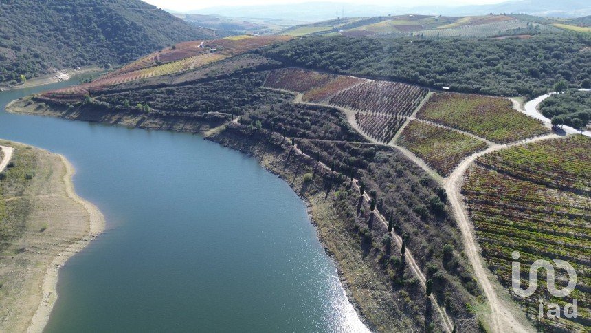 Farm T0 in Horta of 584,006 m²