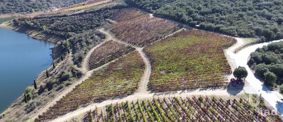 Farm T0 in Horta of 584,006 m²