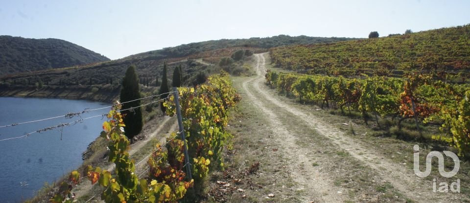 Farm T0 in Horta of 584,006 m²