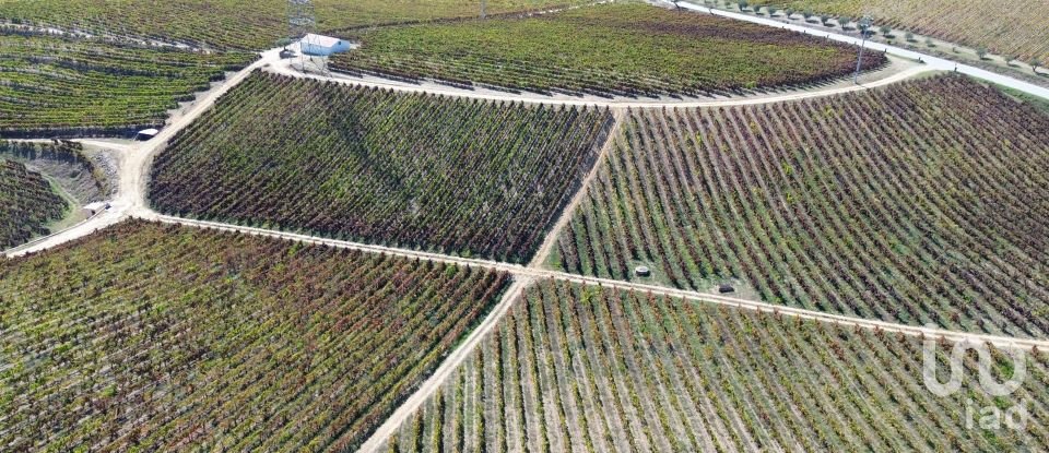 Farm T0 in Horta of 584,006 m²