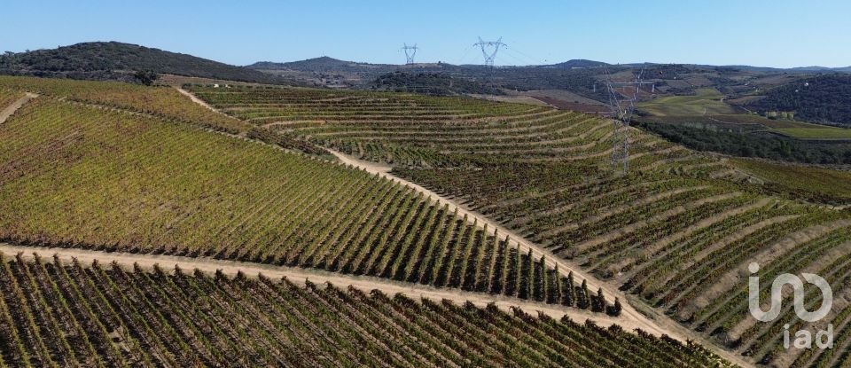 Farm T0 in Horta of 584,006 m²