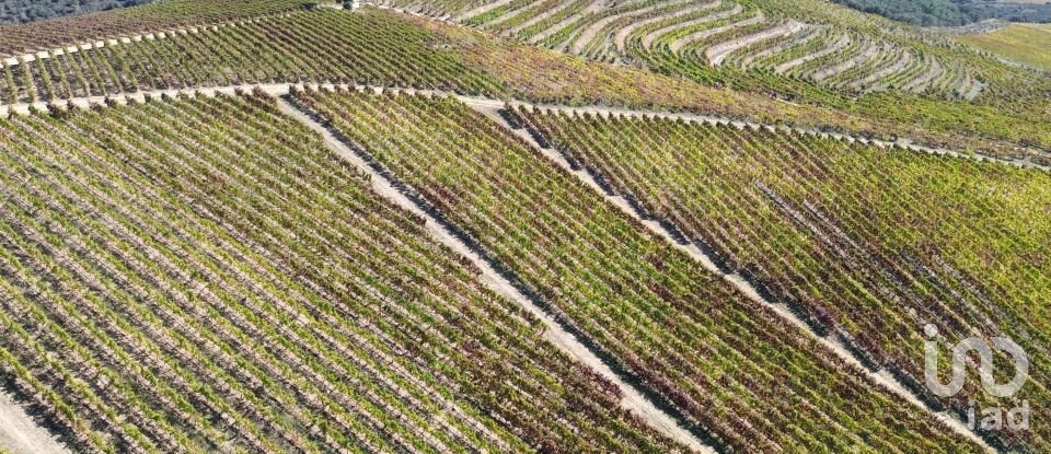 Farm T0 in Horta of 584,006 m²