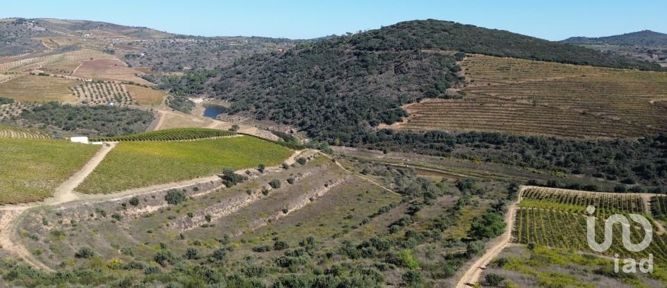 Farm T0 in Horta of 584,006 m²