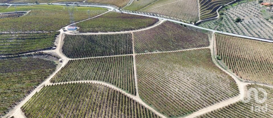 Farm T0 in Horta of 584,006 m²