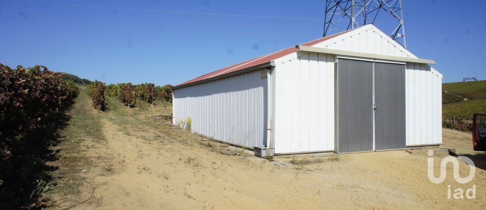 Farm T0 in Horta of 584,006 m²