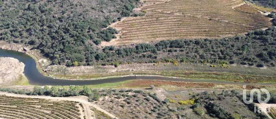 Farm T0 in Horta of 584,006 m²