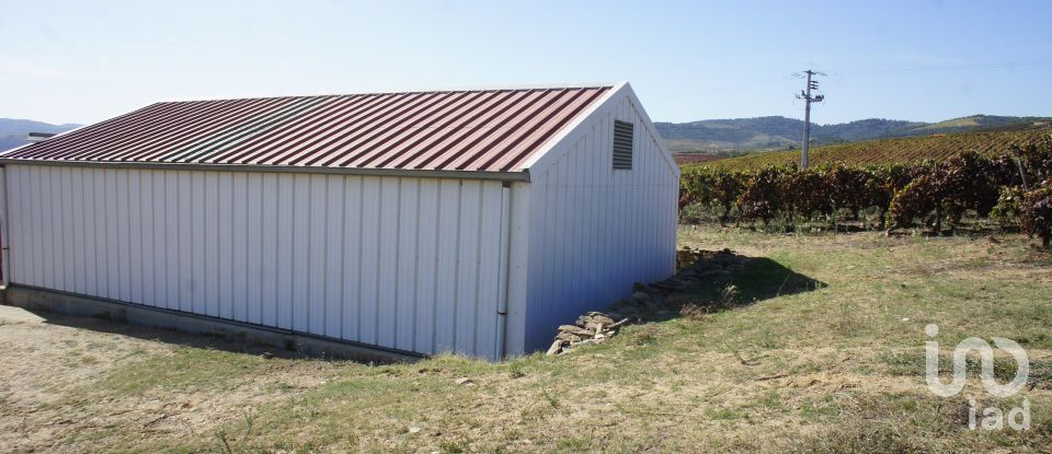 Farm T0 in Horta of 584,006 m²