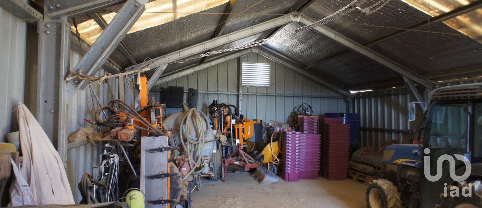 Farm T0 in Horta of 584,006 m²