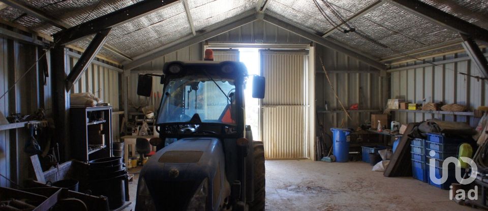 Farm T0 in Horta of 584,006 m²