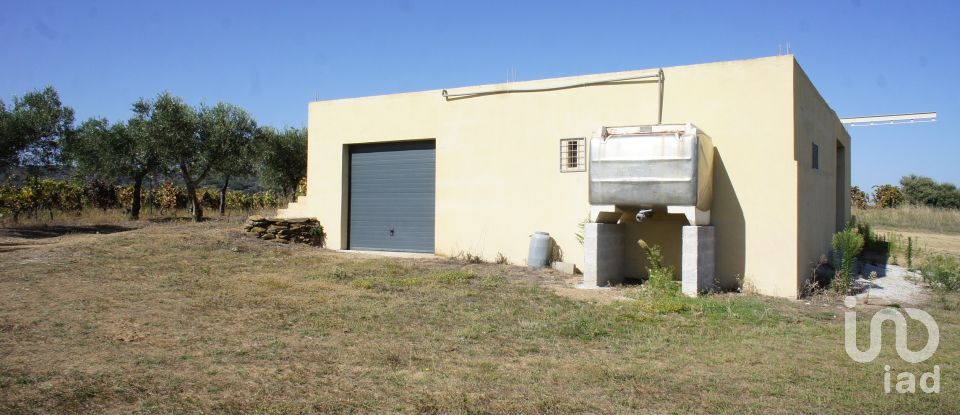 Farm T0 in Horta of 584,006 m²