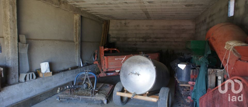 Farm T0 in Horta of 584,006 m²