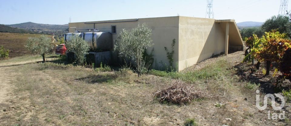 Farm T0 in Horta of 584,006 m²